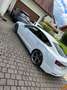 Audi S5 S5 SB 3,0 TFSI quattro S-tronic Weiß - thumbnail 4