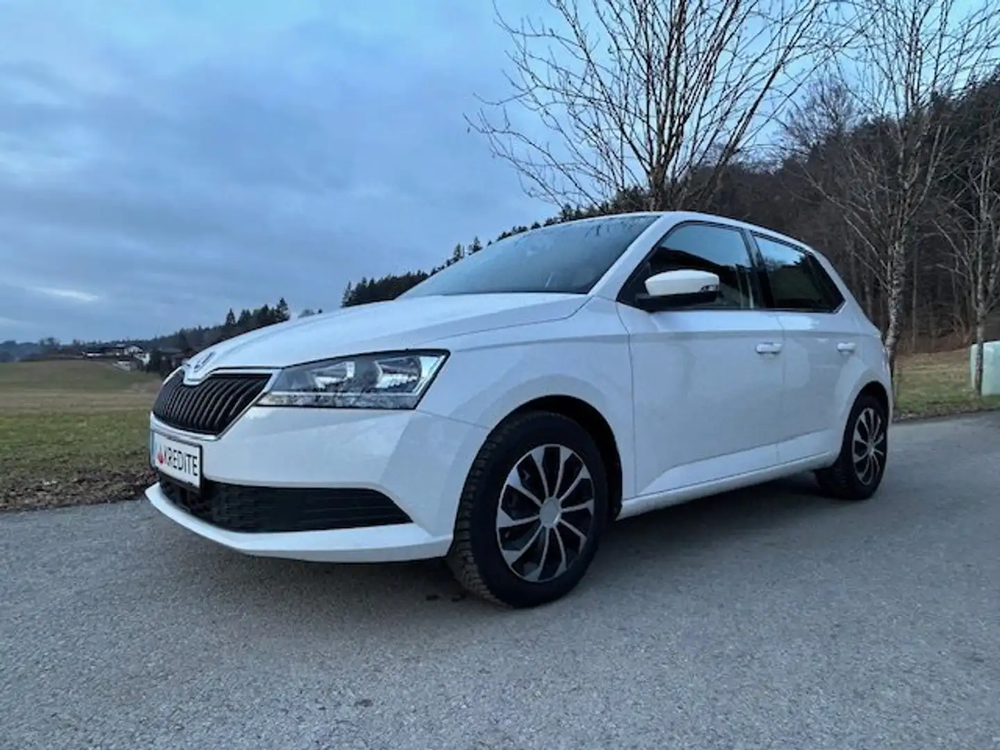 Skoda Fabia 8fach Bereift & möglicher SOFORTFINANZIERUNG !! Weiß - 1