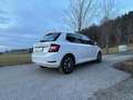 Skoda Fabia 8fach Bereift & möglicher SOFORTFINANZIERUNG !! Weiß - thumbnail 4