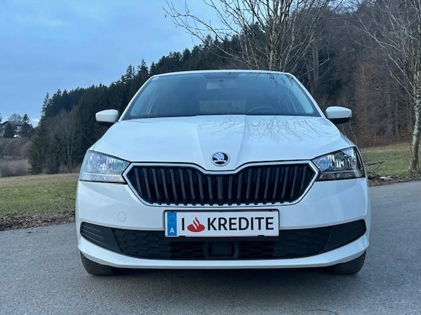 Skoda Fabia 8fach Bereift & möglicher SOFORTFINANZIERUNG !! Weiß - 2