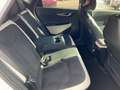 Kia EV6 GT Line 4WD Elektro 77.4 Wärmep. Assist+ Sound Des Blanco - thumbnail 11