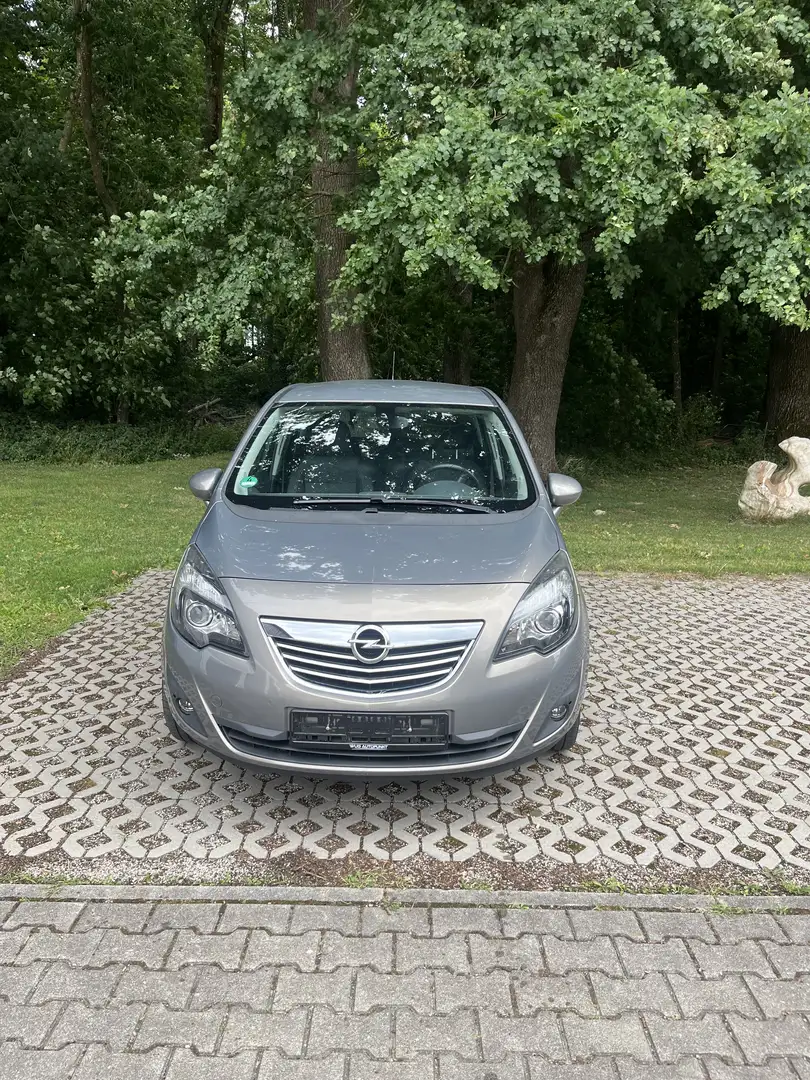 Opel Meriva 1.4 ecoflex Edition Бронзовый - 1