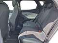 Ford Capri Premium AWD Alb - thumbnail 15