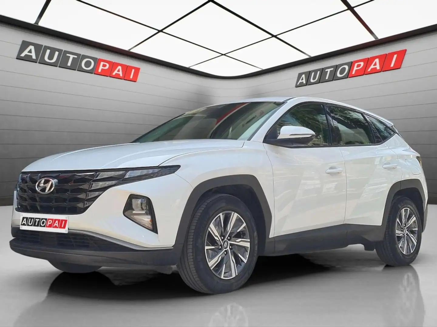 Hyundai TUCSON 1.6 TGDI 48V Tecno 2C 4x2 Blanc - 1
