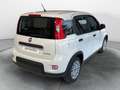 Fiat Panda 1.0 FireFly S&S Hybrid Blanc - thumbnail 7
