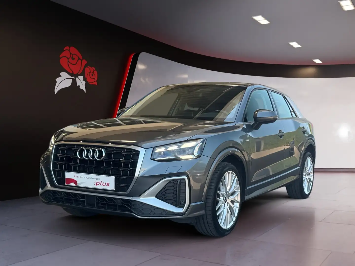 Audi Q2 30 1.0 TFSI S-line AHK Navi RFK Matrix-LED ACC PD Grau - 2