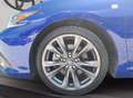 Lexus ES 300 h 2.5 executive cvt Blu/Azzurro - thumbnail 11