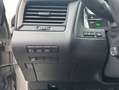 Lexus RX 450h h (hybrid) Style Edition Plateado - thumbnail 20
