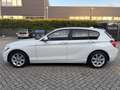 BMW 114 1-serie 114i EDE Executive / Navi / PDC / LED / Xe Blanc - thumbnail 3