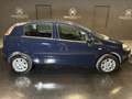 Fiat Punto 1.4 8V 5 porte Natural Power Lounge Bleu - thumbnail 4
