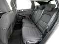 Ford Kuga 2.5 Plug-in-Hybrid Titanium LED+Head-UP+AHK Blanc - thumbnail 15
