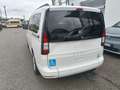 Volkswagen Caddy Maxi allestito Focaccia trasporto carrozzine Bianco - thumbnail 4