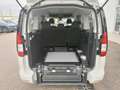 Volkswagen Caddy Maxi allestito Focaccia trasporto carrozzine Bianco - thumbnail 6