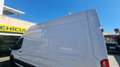Ford Transit FT 350 L3 Mixta Trend 130 Blanco - thumbnail 12