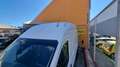 Ford Transit FT 350 L3 Mixta Trend 130 Blanco - thumbnail 13