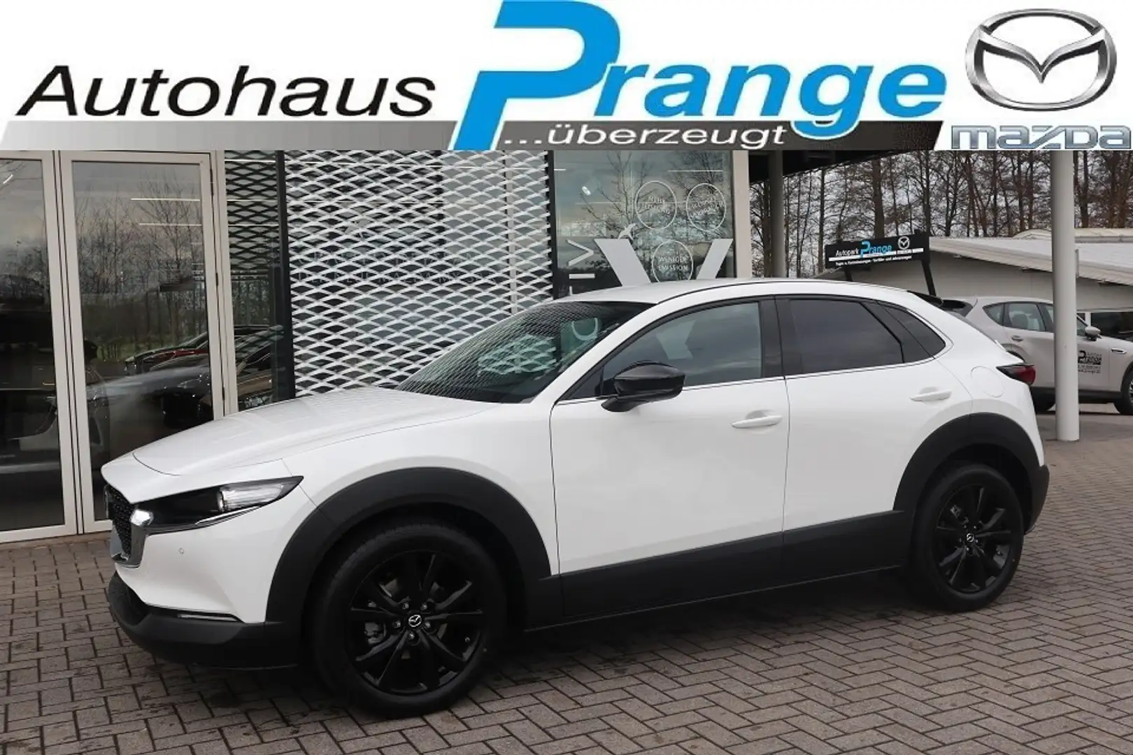 Mazda CX-30 2025 M-Hybrid Homura G-140 AT *sofort* NAVI ACAA S Weiß - 1