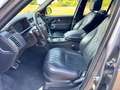 Land Rover Range Rover SV Autobiography Dynamic Grau - thumbnail 9