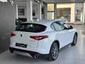 Alfa Romeo Stelvio 2.2 td Executive rwd 180cv auto Blanc - thumbnail 6