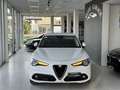 Alfa Romeo Stelvio 2.2 td Executive rwd 180cv auto Blanc - thumbnail 2