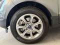 Ford EcoSport 1.0 EcoBoost 125 CV Start&Stop Titanium Gris - thumbnail 21