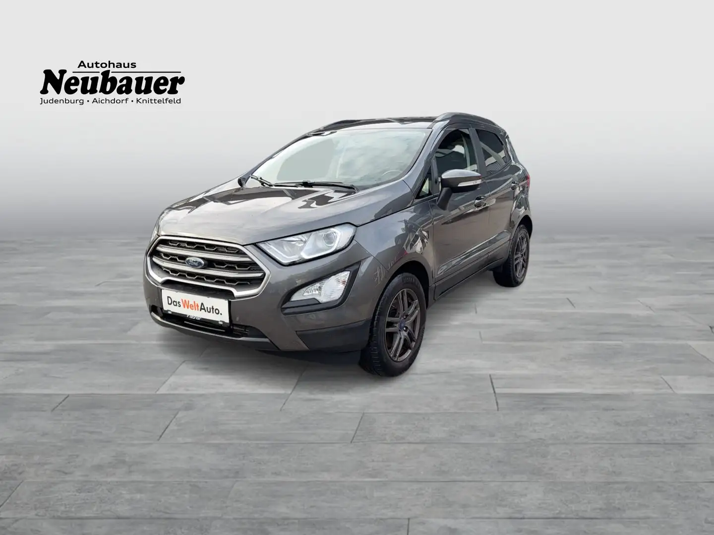 Ford EcoSport 1,0 EcoBoost Trend Grau - 1