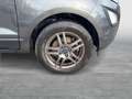 Ford EcoSport 1,0 EcoBoost Trend Grau - thumbnail 6
