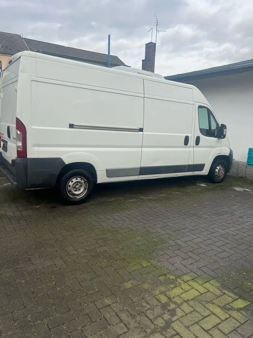 Peugeot Boxer Kühlung - 2