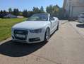 Audi S5 A5 Cabrio Cabrio S tronic Weiß - thumbnail 5