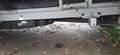 Mercedes-Benz Sprinter 2.2 TD CASSONATO 3 POSTI Bianco - thumbnail 12