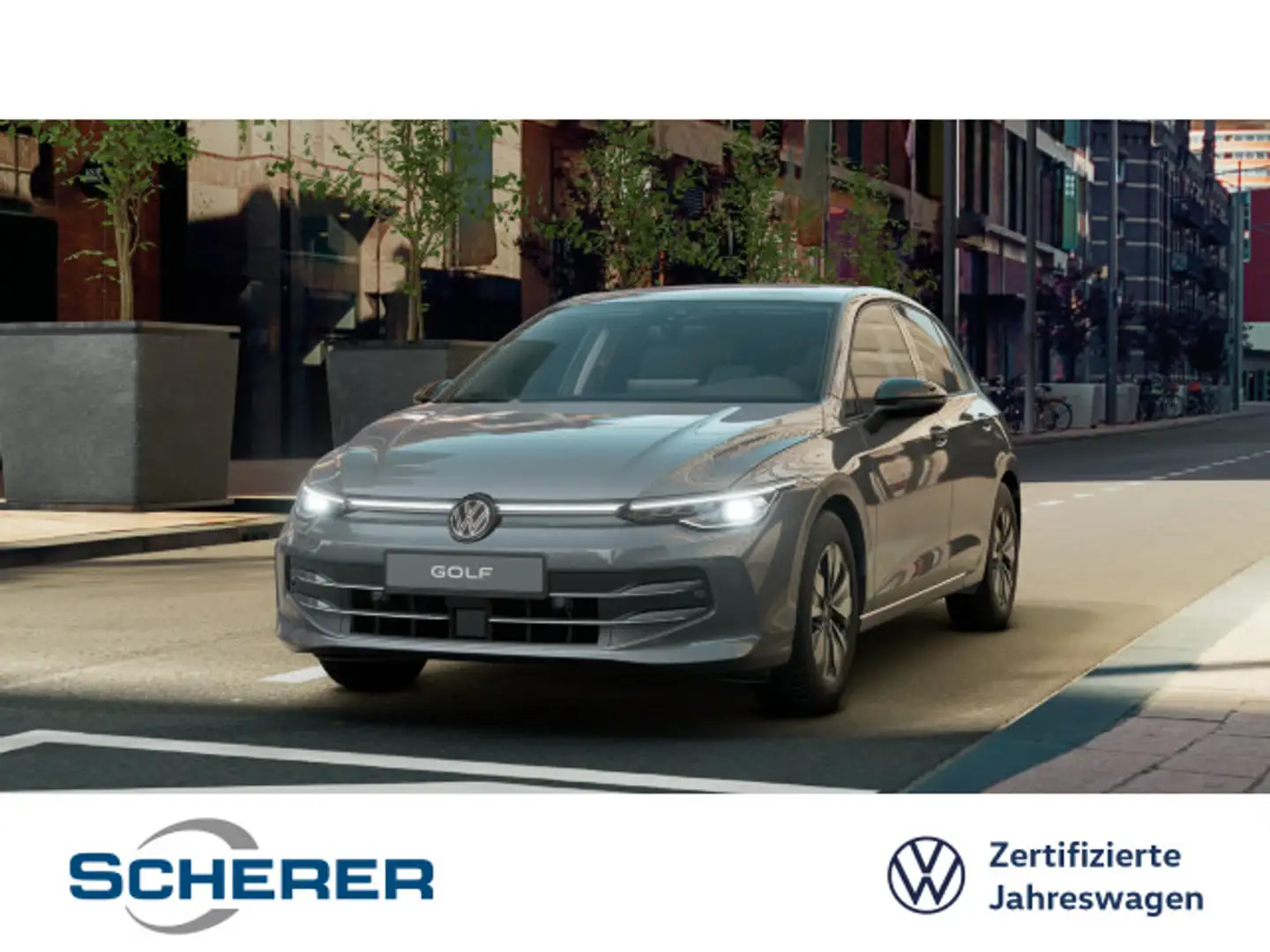 Volkswagen Golf VIII 1.5 TSI Grau - 1