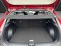 Kia EV4 81 FWD EARTH UP TE WIC DWP Klima Navi Rouge - thumbnail 19