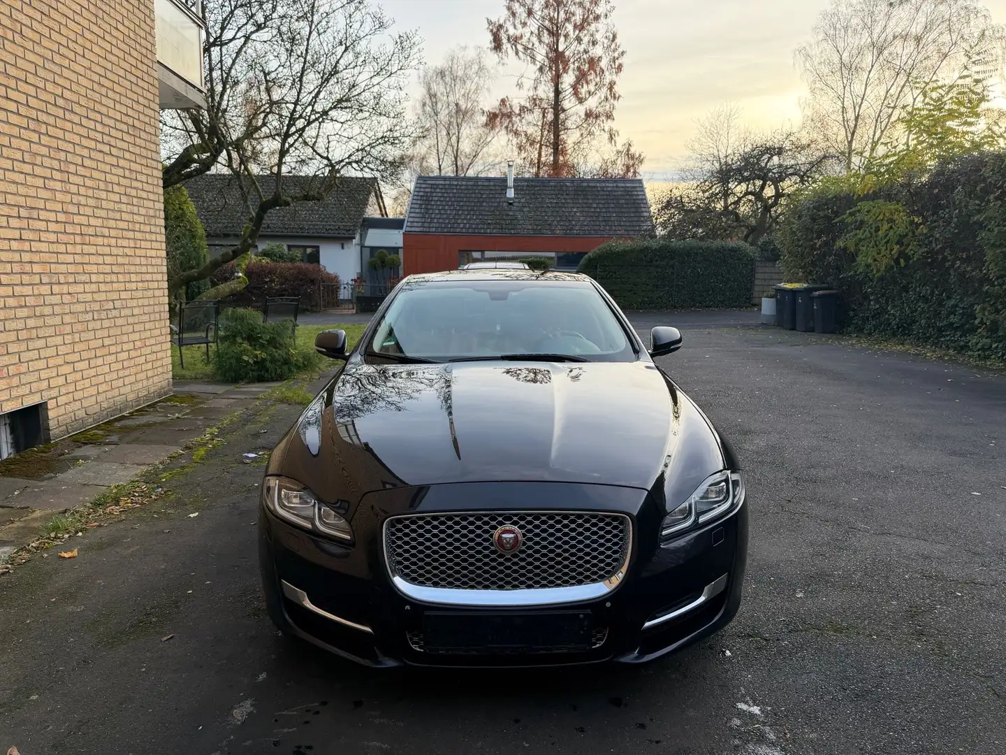 Jaguar XJ 3.0 V6 Diesel Portfolio - 1