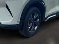 BYD Boost, SHZ, NAVI, LEDER, LED, V2L, KAMERA Groen - thumbnail 6