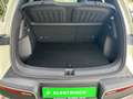 BYD Boost, SHZ, NAVI, LEDER, LED, V2L, KAMERA Groen - thumbnail 12