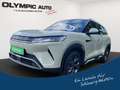 BYD Boost, SHZ, NAVI, LEDER, LED, V2L, KAMERA Groen - thumbnail 1