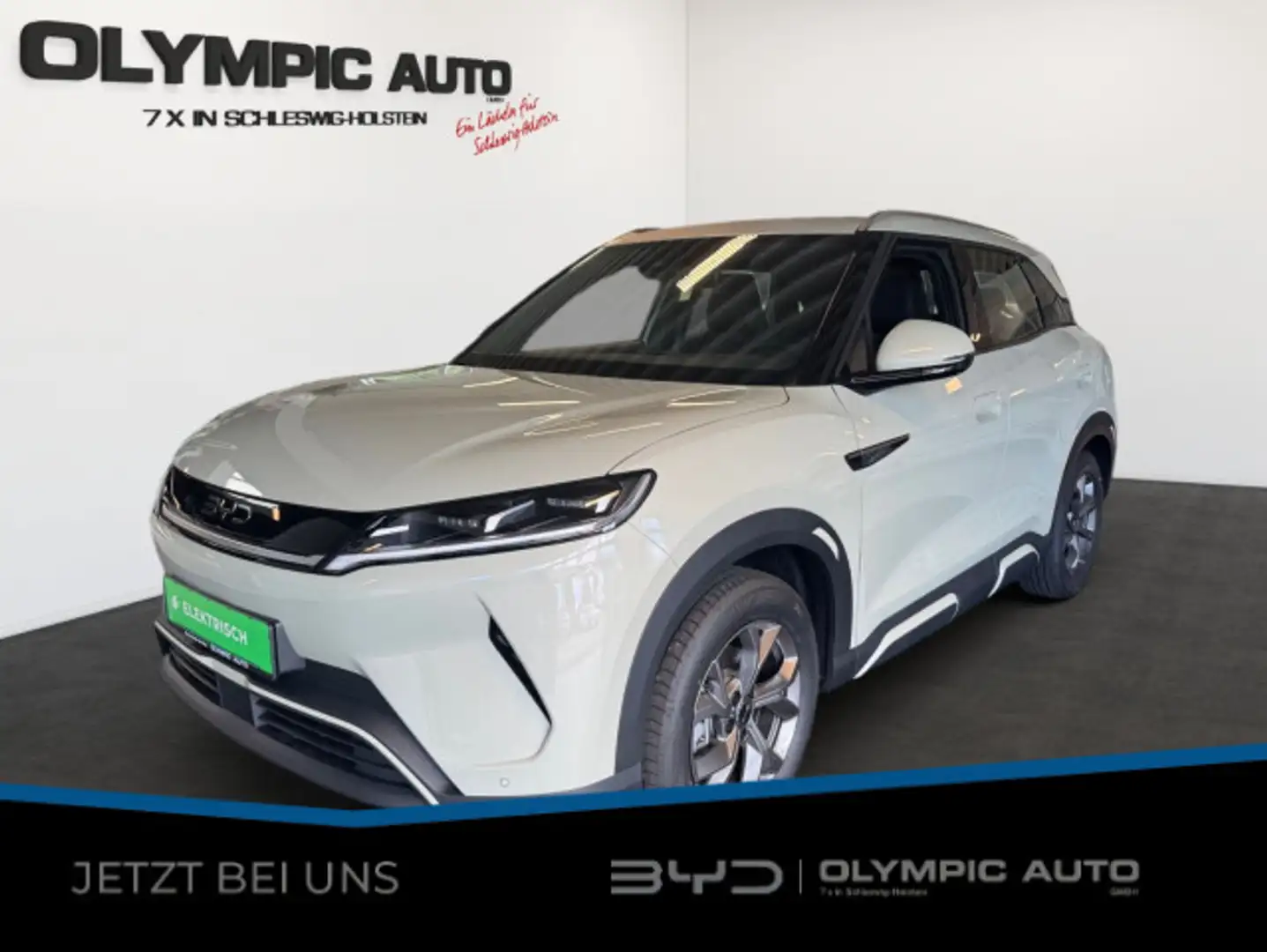 BYD Atto 2 Boost, SHZ, NAVI, LEDER, LED, V2L, KAMERA Grün - 1