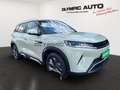 BYD Boost, SHZ, NAVI, LEDER, LED, V2L, KAMERA Groen - thumbnail 2
