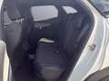 Peugeot 3008 Hybrid 225 e-EAT8 GT Aut. Weiß - thumbnail 15