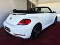 Volkswagen Beetle Cabrio Design Aut./BI-Xenonlicht/GARANTIE/1.BESITZ Weiß - thumbnail 12