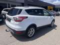 Ford Kuga 1,5 EcoBoost Titanium Weiß - thumbnail 4