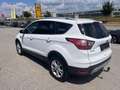 Ford Kuga 1,5 EcoBoost Titanium Weiß - thumbnail 2