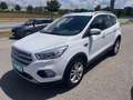 Ford Kuga 1,5 EcoBoost Titanium Weiß - thumbnail 1