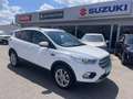 Ford Kuga 1,5 EcoBoost Titanium Weiß - thumbnail 3