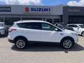 Ford Kuga 1,5 EcoBoost Titanium Weiß - thumbnail 5