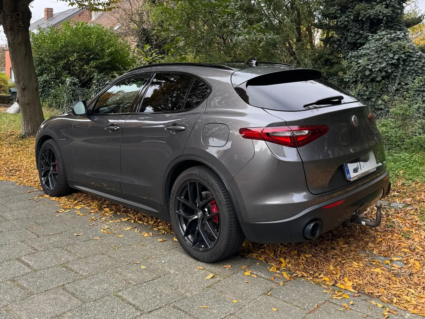 Alfa Romeo Stelvio Stelvio 2.2 Diesel 16V AT8 Business Grijs - 2