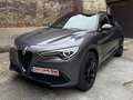 Alfa Romeo Stelvio Stelvio 2.2 Diesel 16V AT8 Business Grijs - thumbnail 8