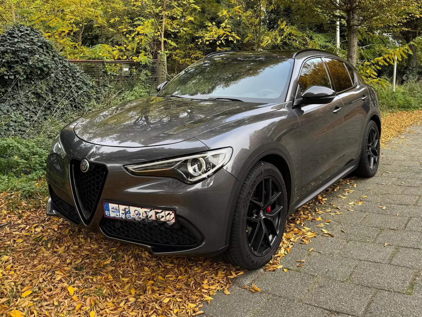 Alfa Romeo Stelvio Stelvio 2.2 Diesel 16V AT8 Business Grijs - 1