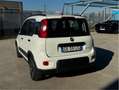 Fiat Panda 1.0 firefly hybrid City Life 5 Posti Prezzo Promo! Weiß - thumbnail 6