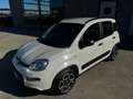 Fiat Panda 1.0 firefly hybrid City Life 5 Posti Prezzo Promo! Weiß - thumbnail 1