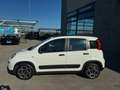 Fiat Panda 1.0 firefly hybrid City Life 5 Posti Prezzo Promo! Weiß - thumbnail 3